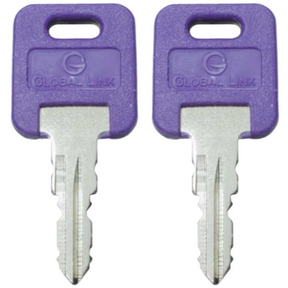 1 Pair (2 keys) Global Link Precut RV Keys * SELECT YOUR KEY CODE * G301 - G391