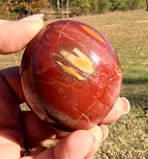 Petrified Wood Palmstone