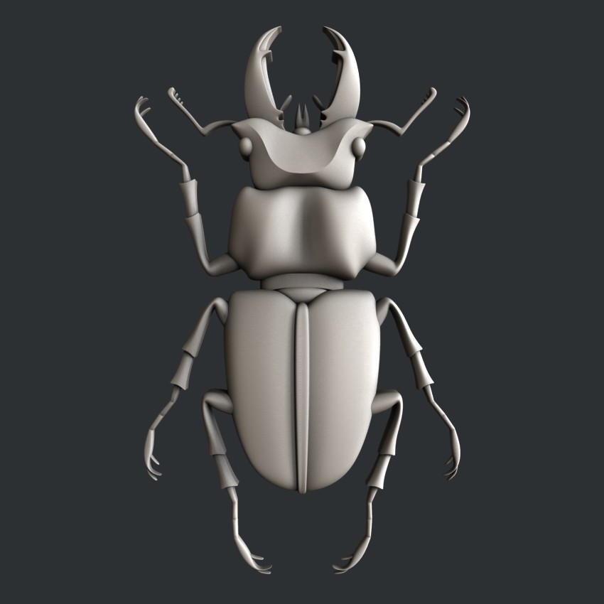 3d STL models for CNC, Artcam, Aspire, relief  bug