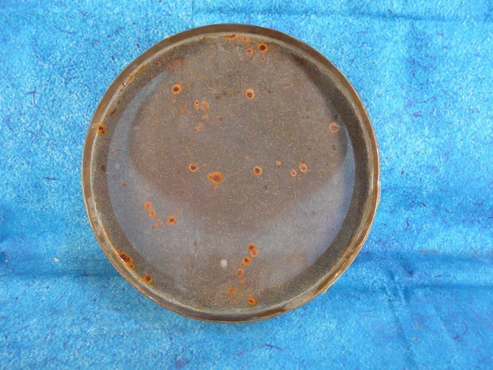 Fisher Scientific Standard Testing Sieve No. 50