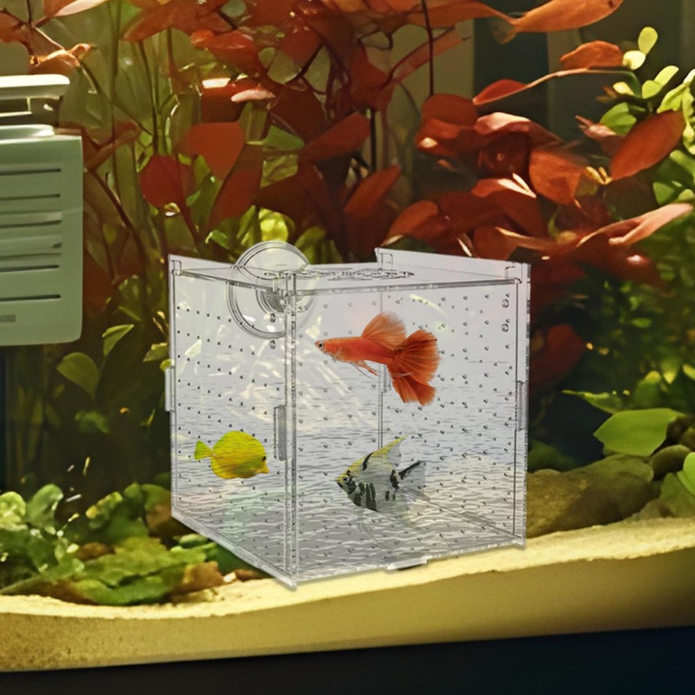 Aquarium Fish Tank Breeding Breeder Rearing Box Hatchery Isolation Case