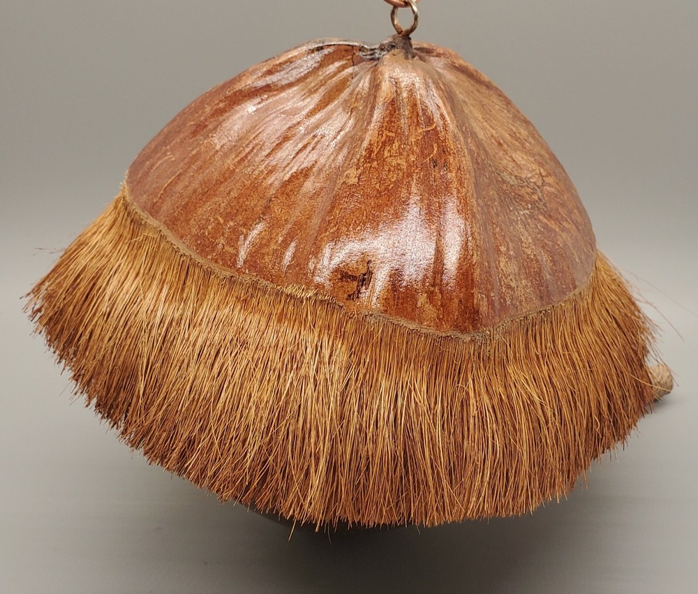 Bird House Made From A Coconut Shell