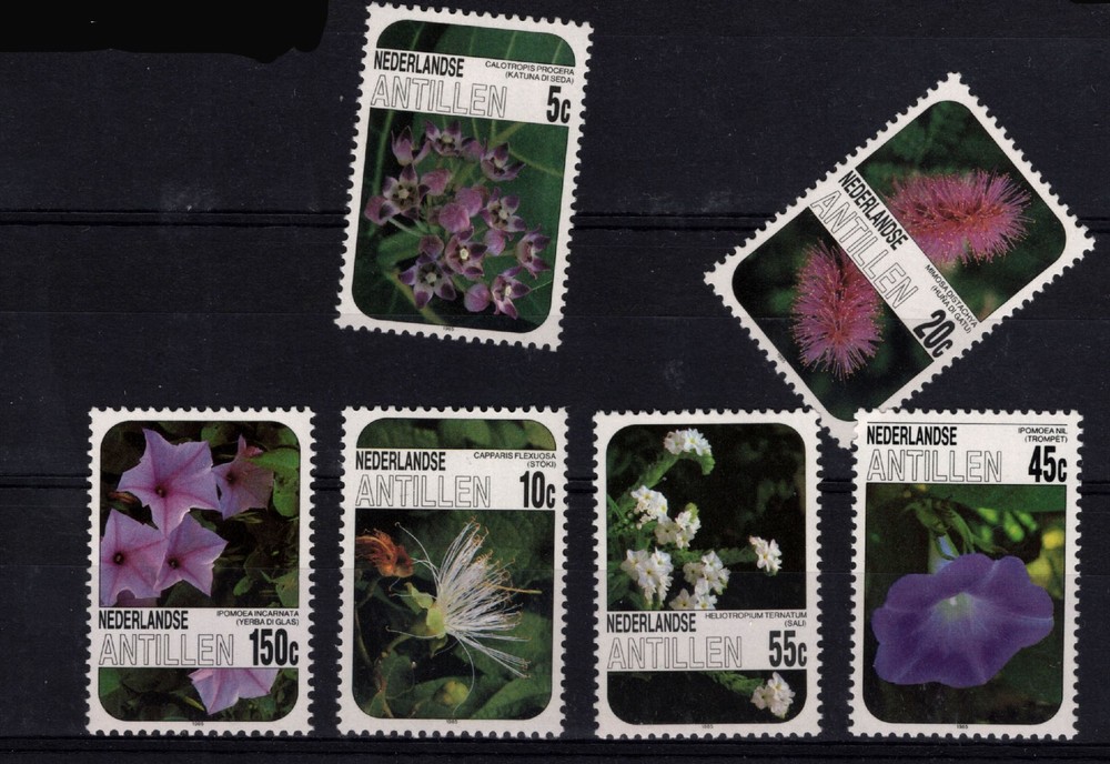 NETHERLANDS   FLOWERS  MNH**    (199)