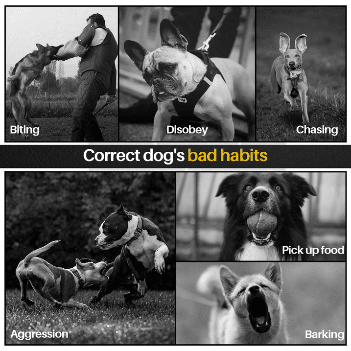 Dog Training Collar Dog Shock Collar Remote for Training Small Medium Large Dogs