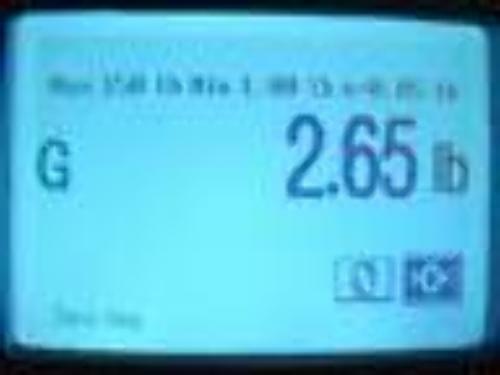 Command C4E3-0750 Tool Holder #1HP #11