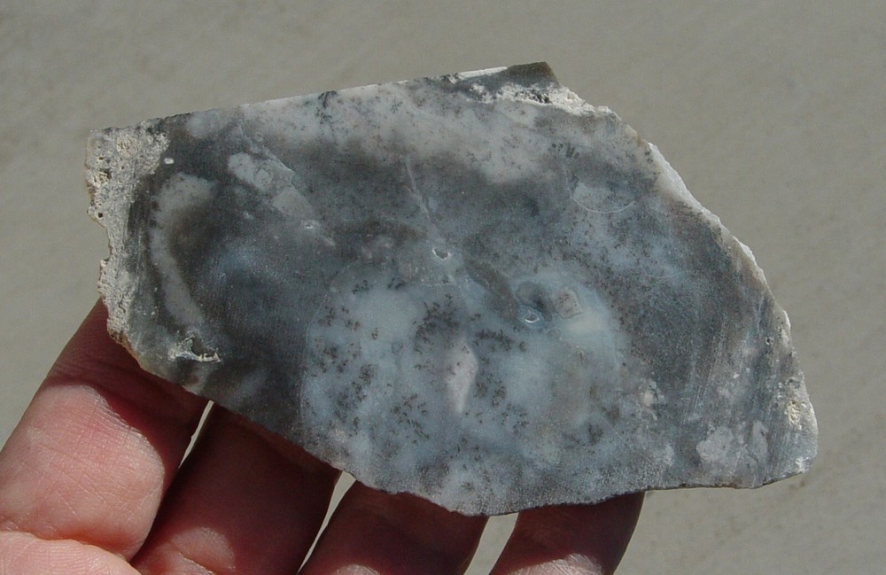 Dendritic Agate Lapidary Slab T1127