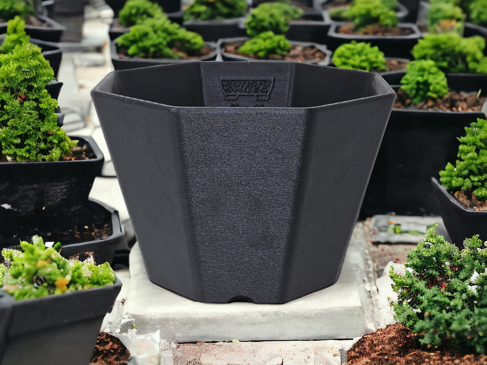 Bonsai Shoes Modern Semi Cascade Octagon Plastic Training Pot