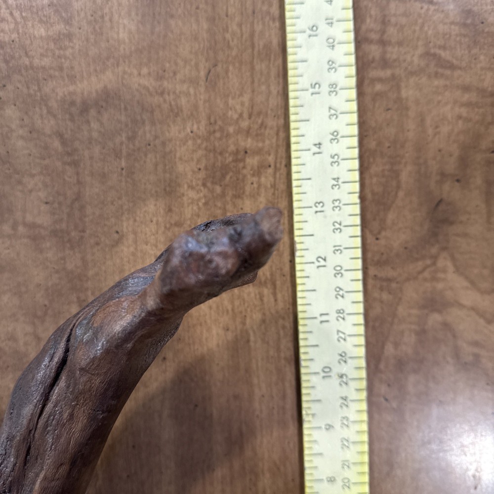 Driftwood Art Or Decoration
