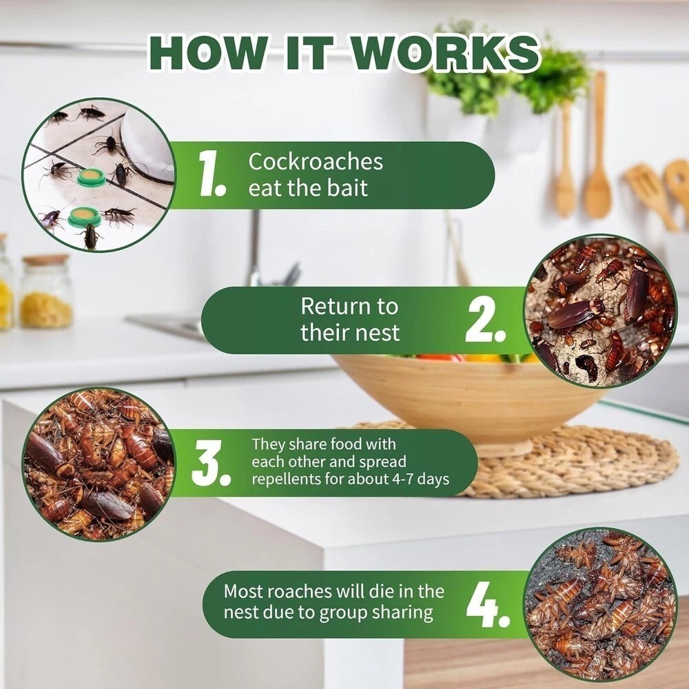 Cockroach Trap Catcher for Home & Outdoor Use 24 Pack
