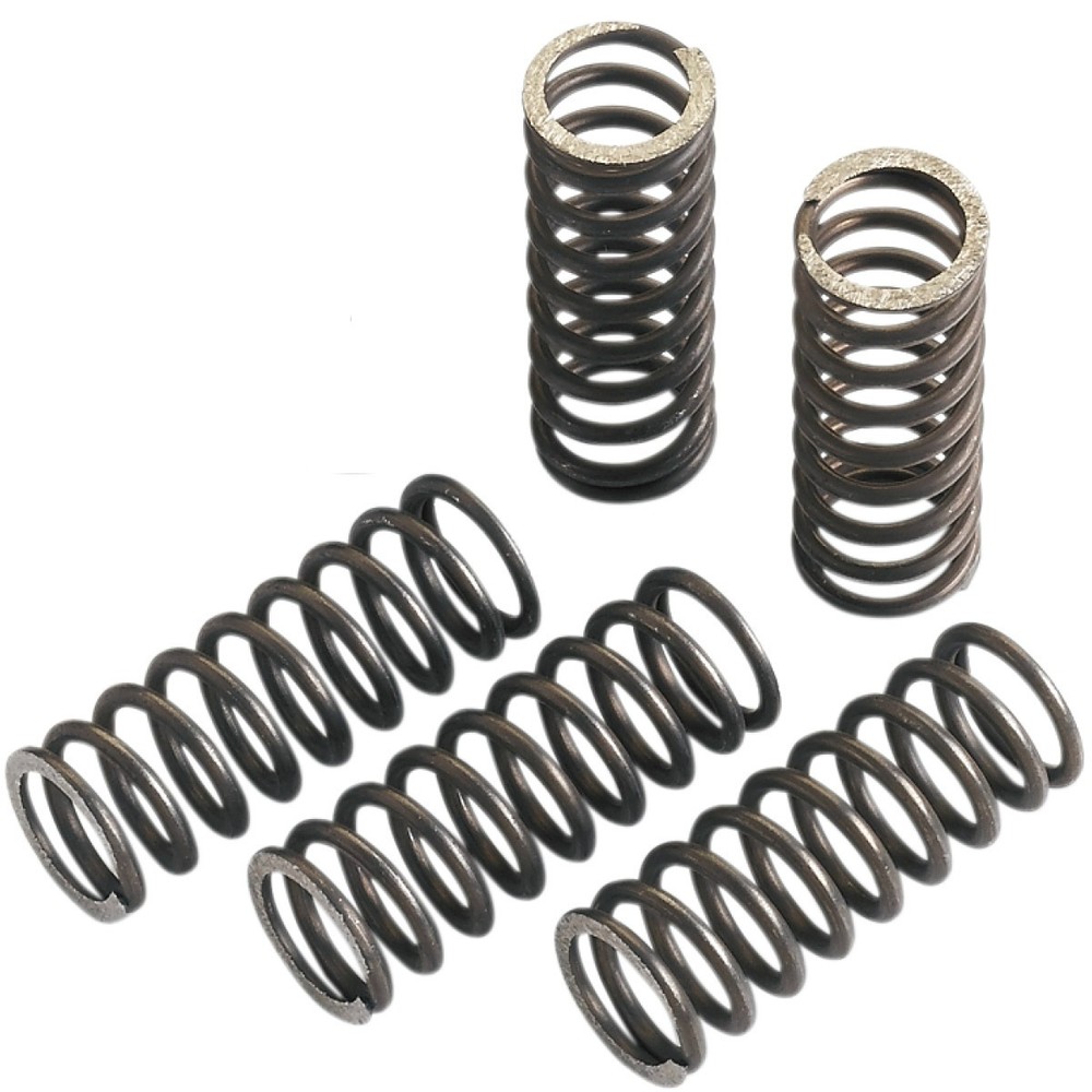 Moose Clutch Spring Set (FHDS58-5)