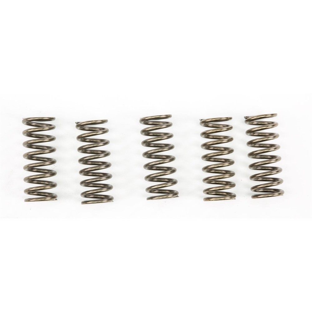EBC Brakes Clutch Springs CSK249