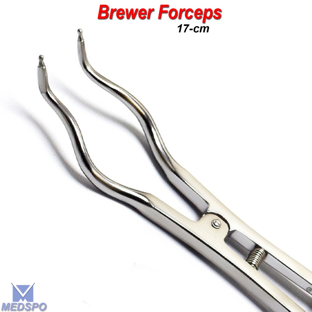 Dental Rubber Dam Brewer Type Clamp Forceps Palmer Endodontic Instruments