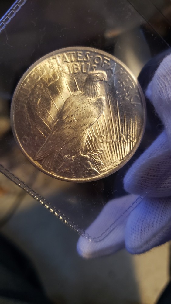 1925 P Peace Dollar BU