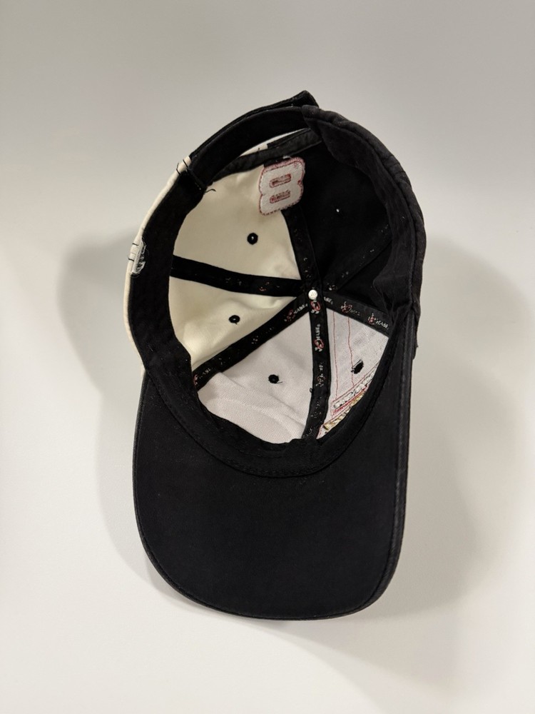 Dale Earnhardt Jr #8 Multi-Sponsor Hat Chase Authentics Split Design NASCAR