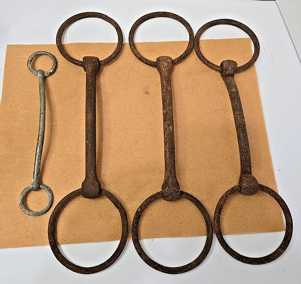Bridle Bit 4 Equestrian Horse Mule  READ