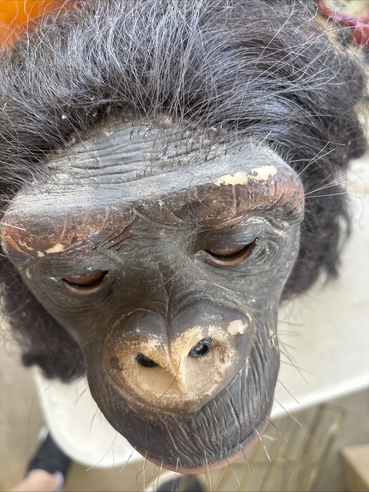 WowWee Alive Chimpanzee Animatronic Prop 2005 Sharper Image No Remote Untested
