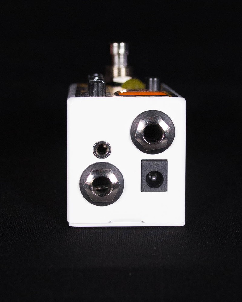 Rainger FX Echo-X Digital Delay Mini Pedal