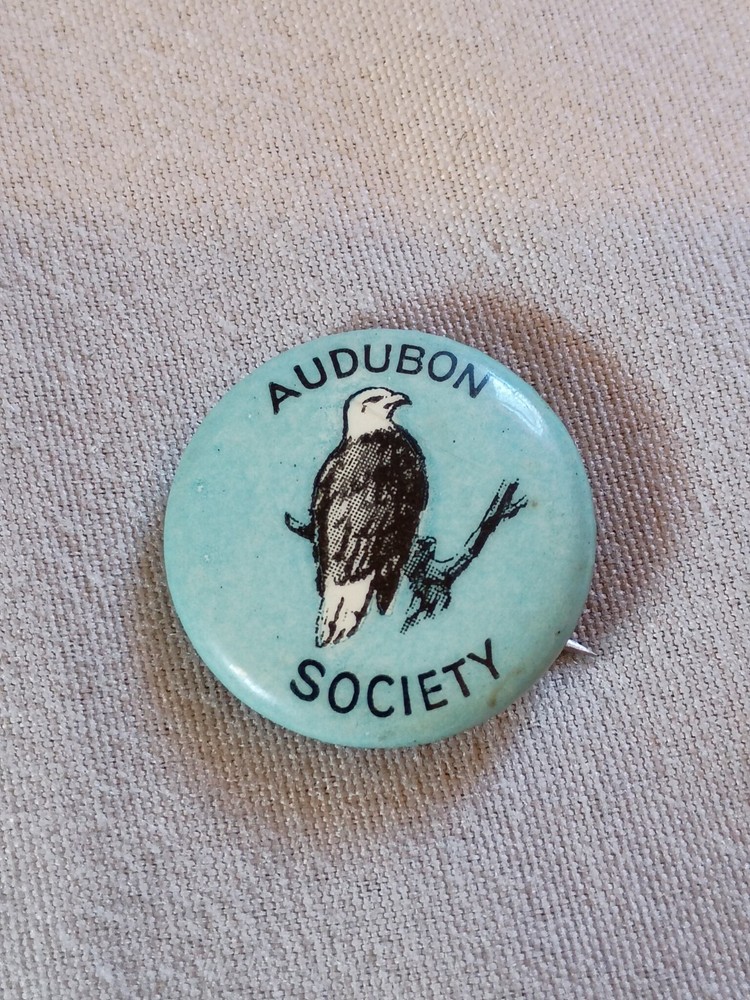 Vintage Audubon Society Bald Eagle Pinback Button.