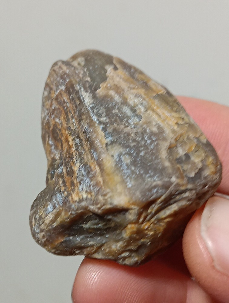 Petrified Wood