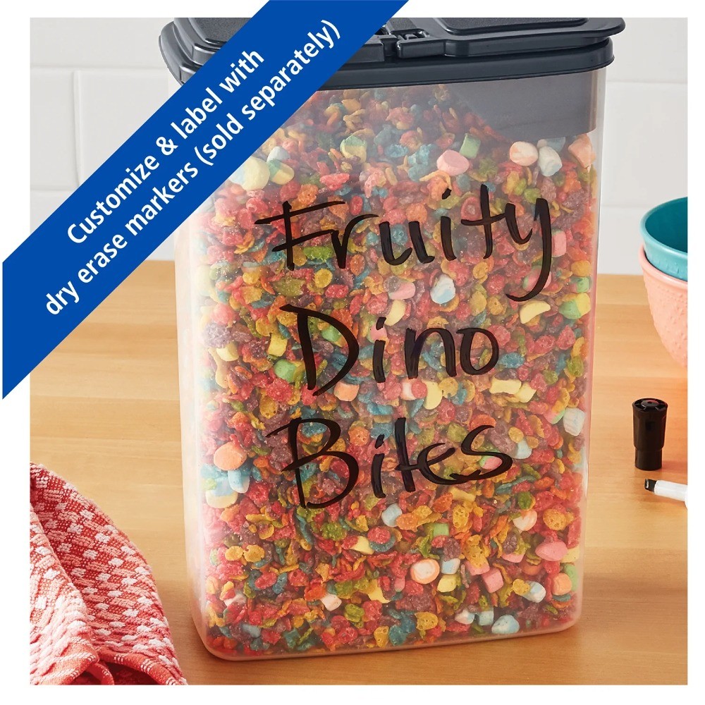 Clear Plastic Cereal Dispenser with Gray Lid 16-Cup Capacity Compact Kitchen