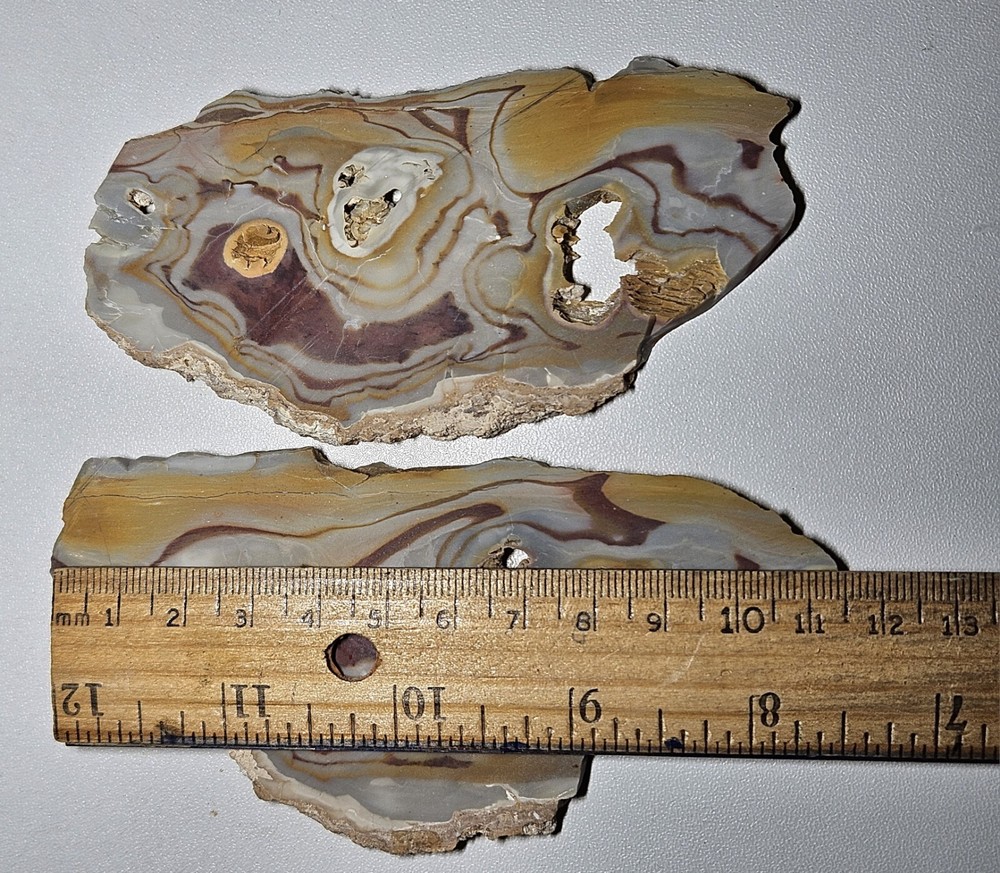 Rhyolite Two Lapidary Slabs 105 Grams