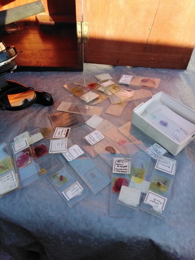 MICROSCOPE WATSON & SONS SERVICE MICROSCOPE AND CASE AND GLASS SLIDES