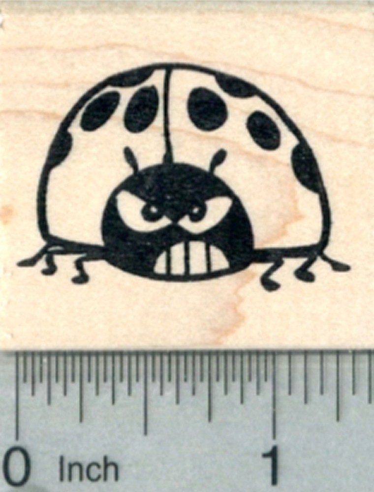 Grumpy Ladybug Rubber Stamp, Ladybird Beetle D30323 WM