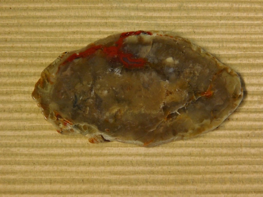 Coprolite Polished Slab for Cabs