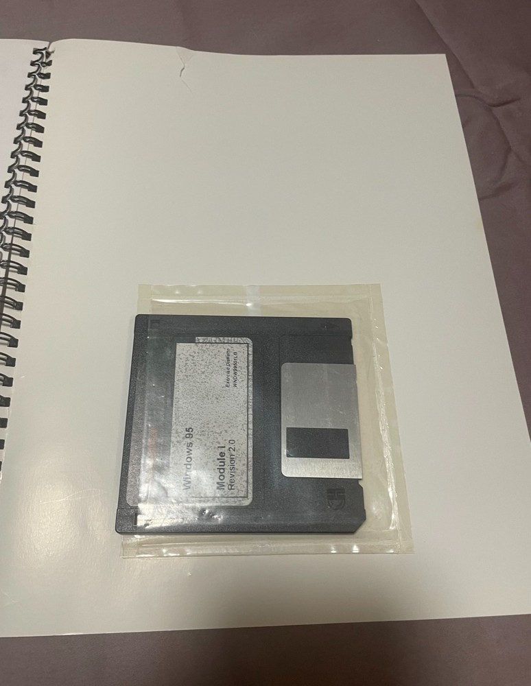 (2) Vintage Courseware Series Learning Guide Windows 95 Word