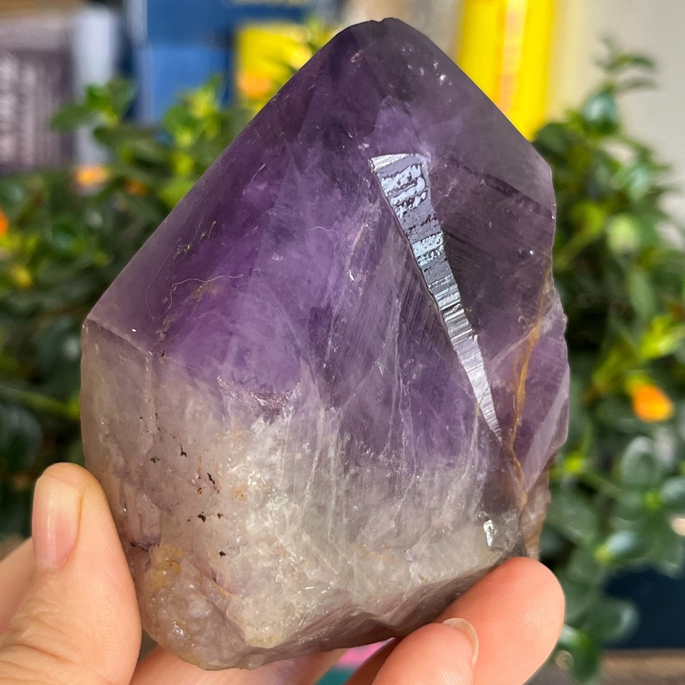 467g Natural Amethyst geode quartz clustercrystal specimen Healing