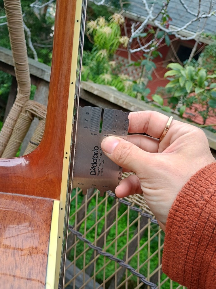 Octave Mandolin/8-String Tenor Guitar Conversion of Mitchell MD-100S