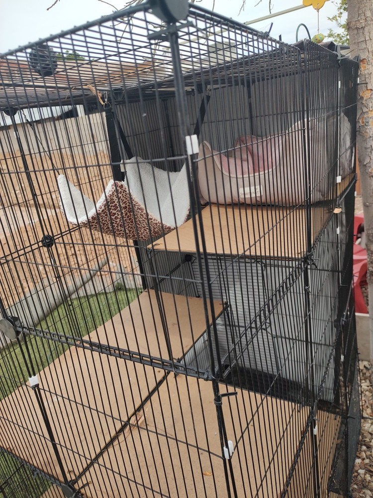 Catio Outdoor Cat Enclosure Window Accessory for Pets