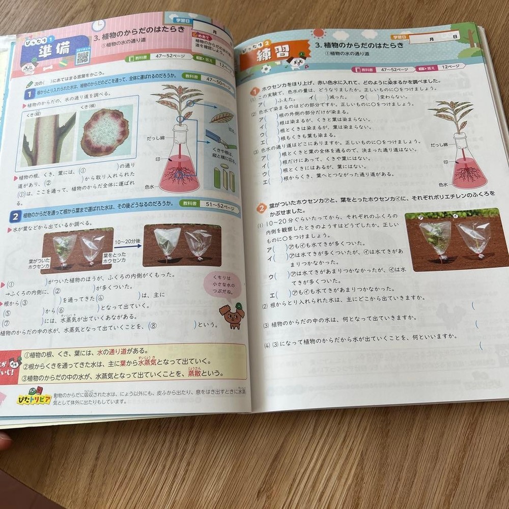 Japanese school textbook Perfect training for 6th grade elementary textbooks Sci
