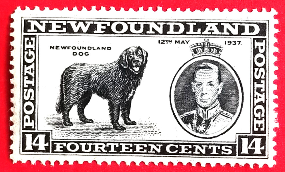 Canada Newfoundland #238 Long Coronation Issue MH