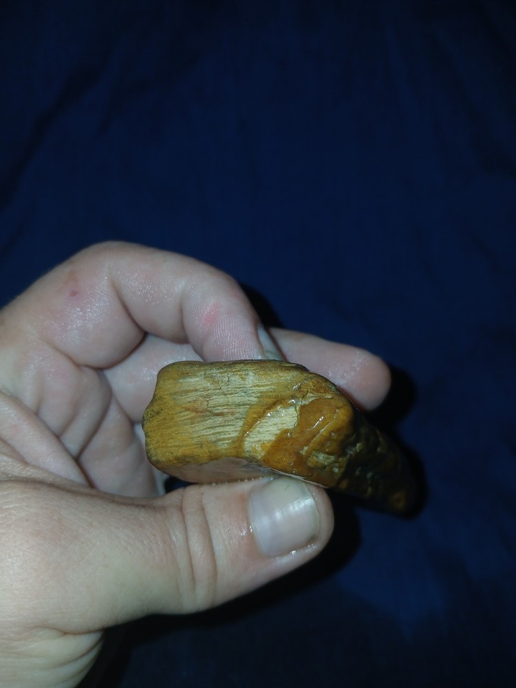 4.5 oz Agatized Petrified Wood