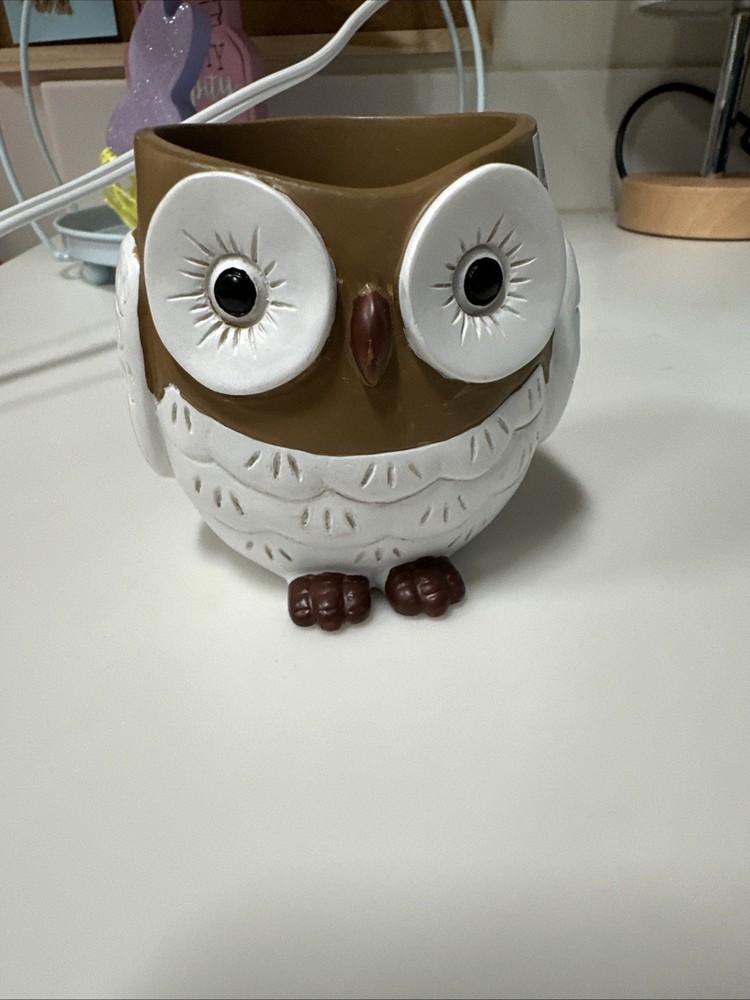 Owl Planter Pot 2.5
