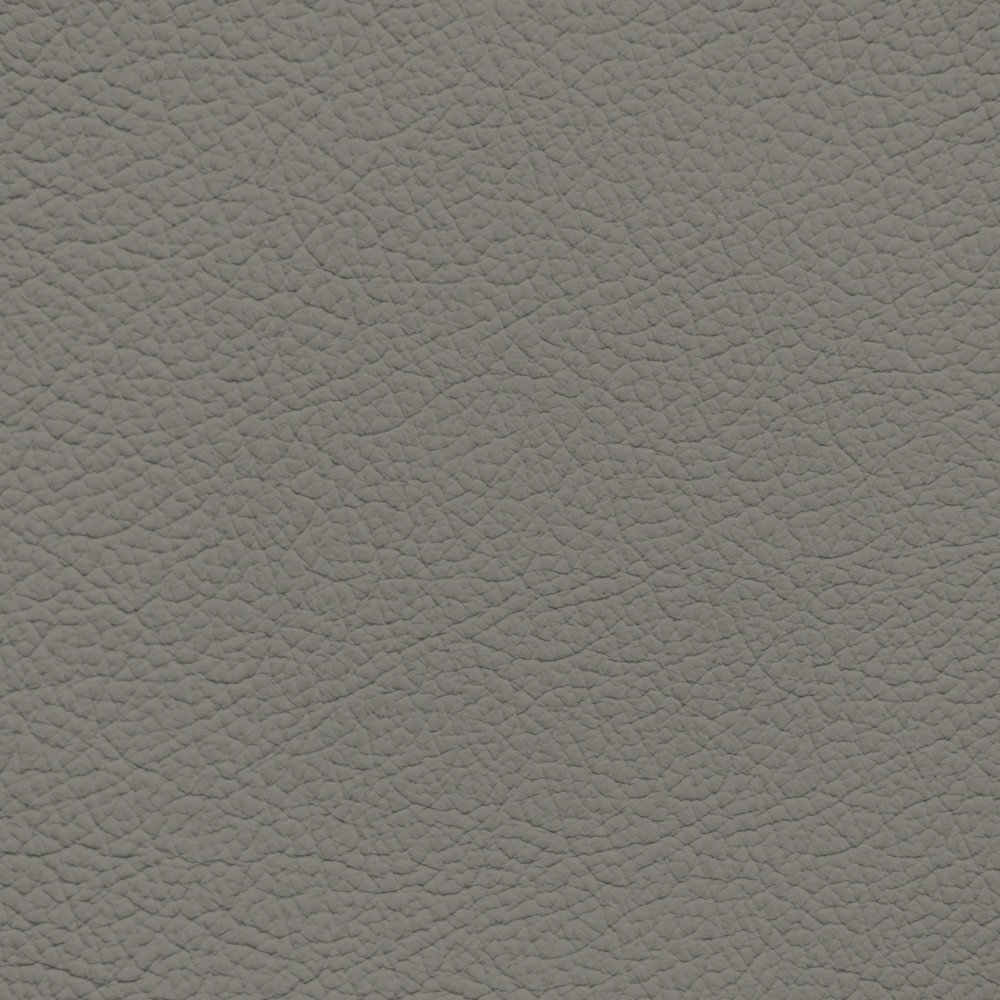 Audi Jive Grey Leather Dye