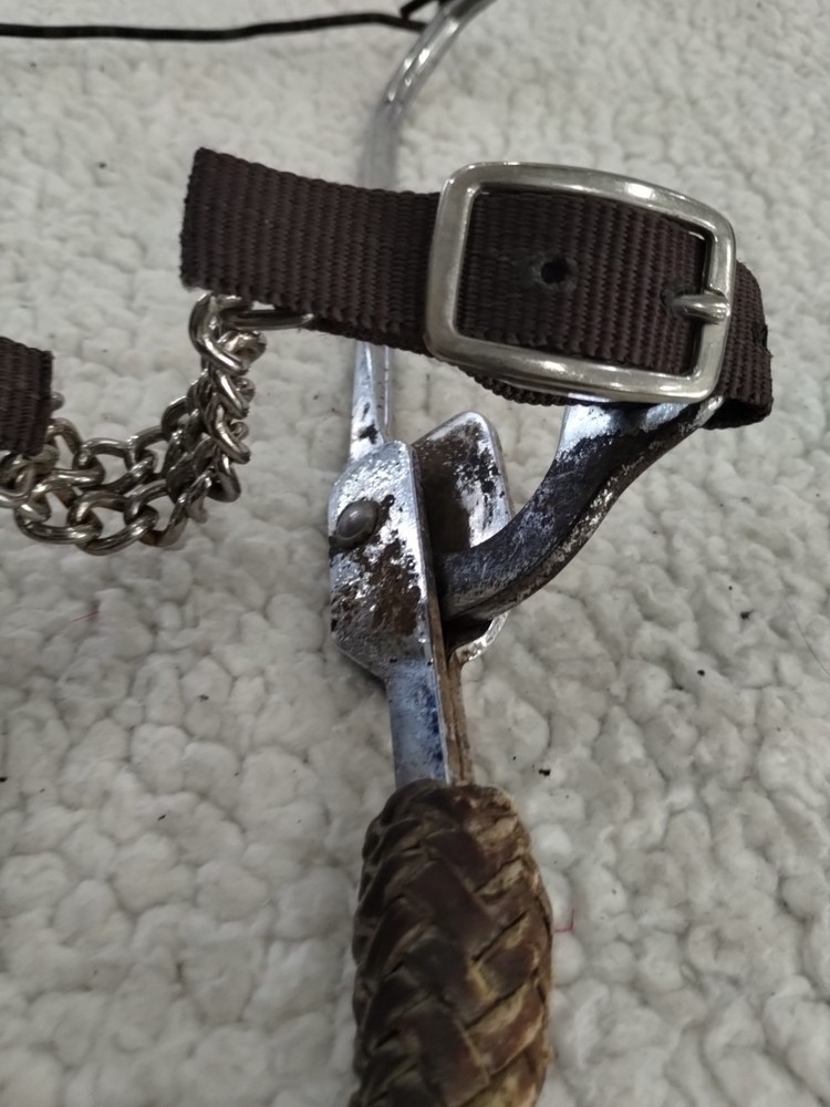 Unlabeled Hackamore Bit