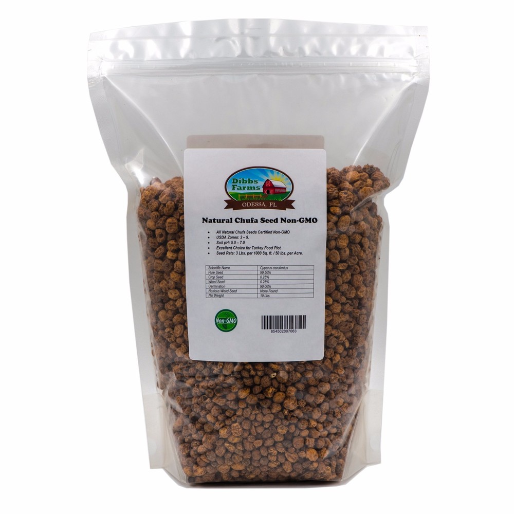 Natural Chufa Seed | Tiger Nuts - 10 Lbs.