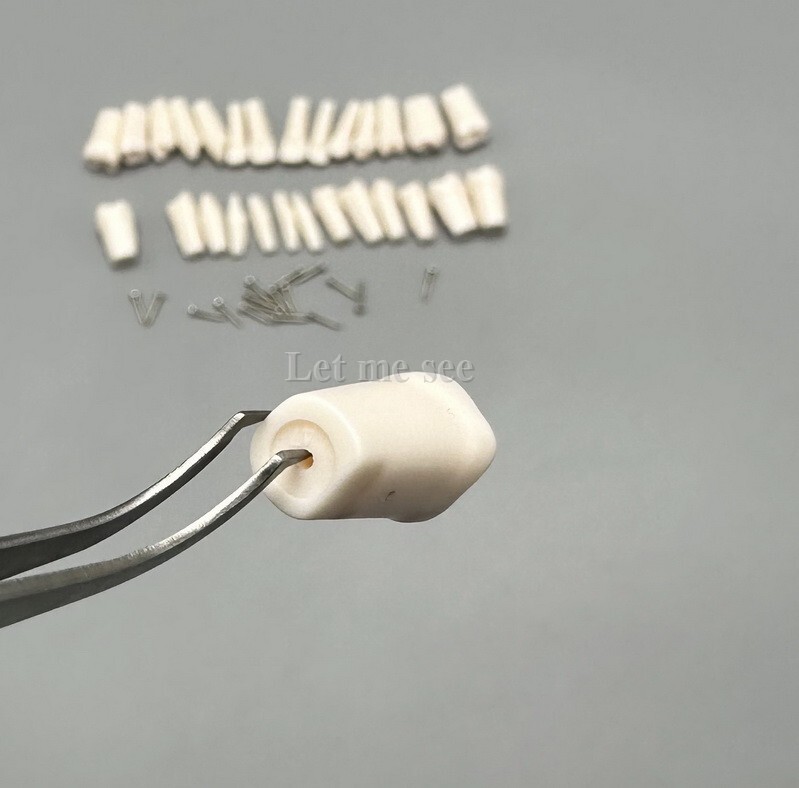 Dental Replacement Screw-in Teeth Typodont Models Study Practice Tooth Model