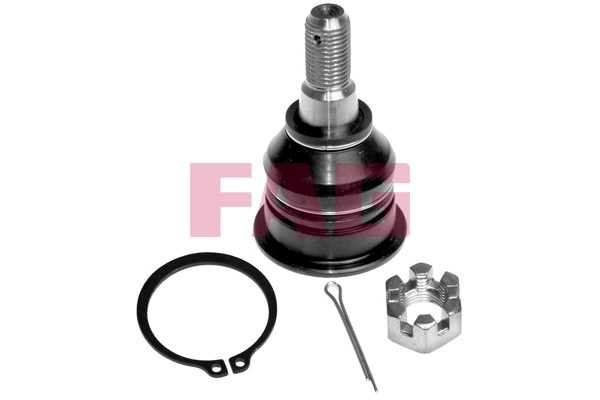 Control Arm Pin Front Left (Left) - Right
