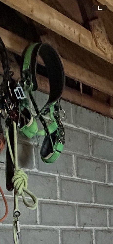 Buckingham Climbing Belt