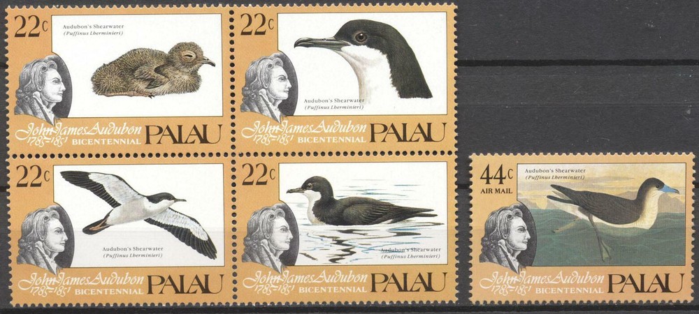 (178191) Birds, Palau