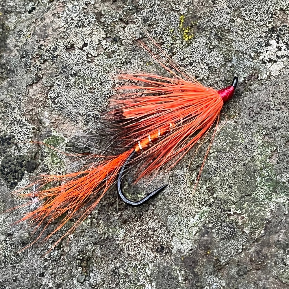 Ally's Shrimp Orange