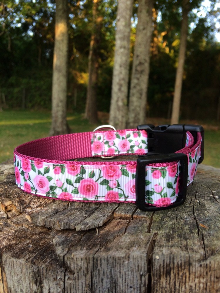 Pink Roses Dog Collar