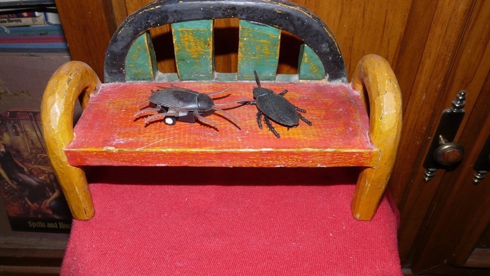 Cockroach resting bench