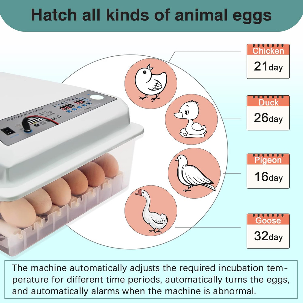 Incubators for Hatching Eggs, Egg Incubator with Automatic Egg Turning and Humid