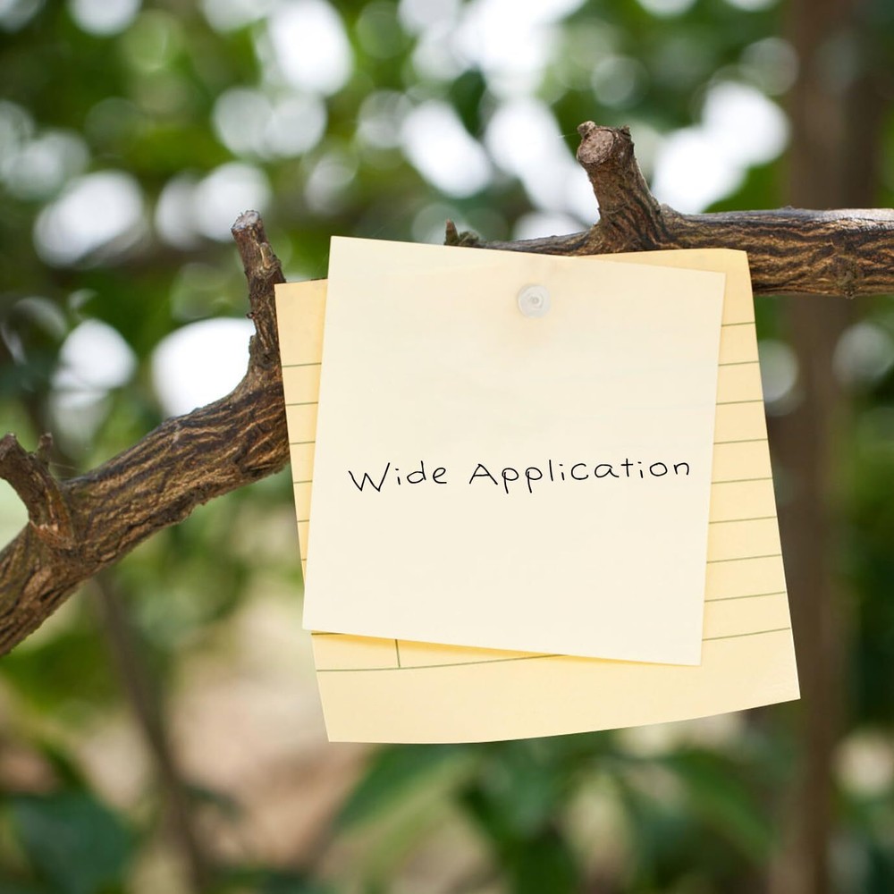 150 Count Push Pins, Willrain Clear Thumb Tacks Suitable