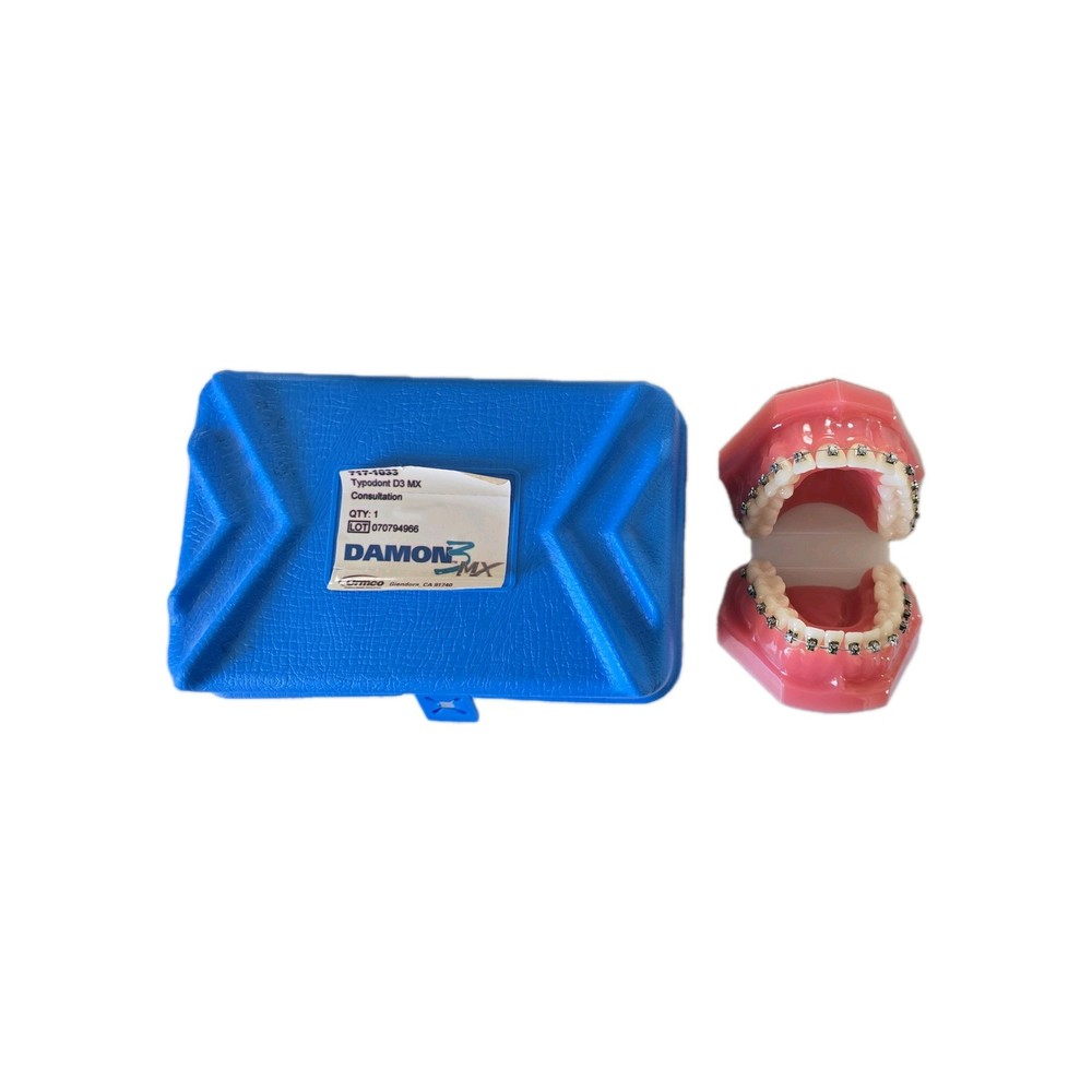 Damon 3MX Consultation Typodont 717-1033 by Ormco