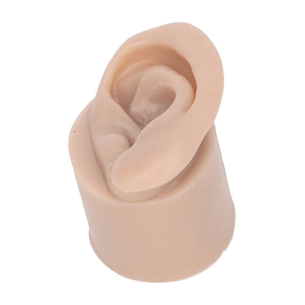 Silicone Piercing Practice Model Simulation Soft Flexible Ears Model